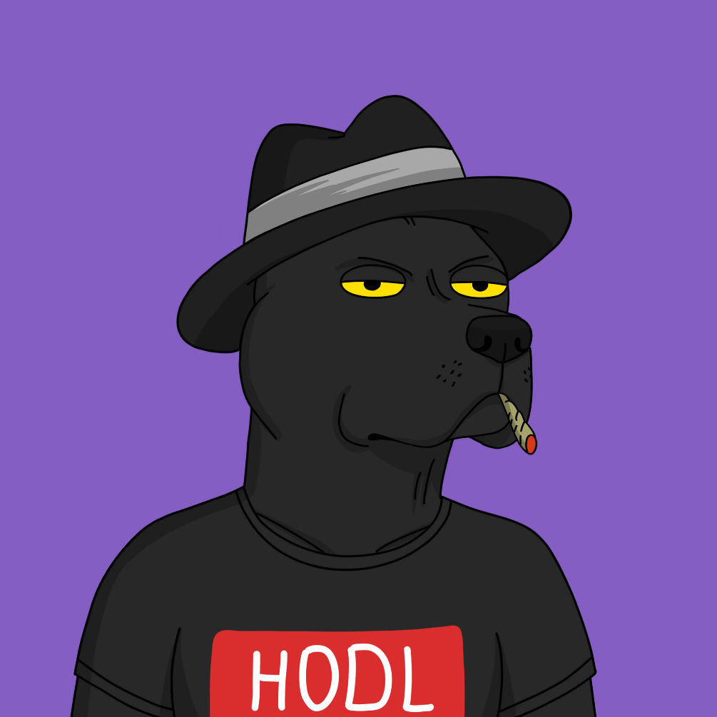 apenotkillape's Lens avatar