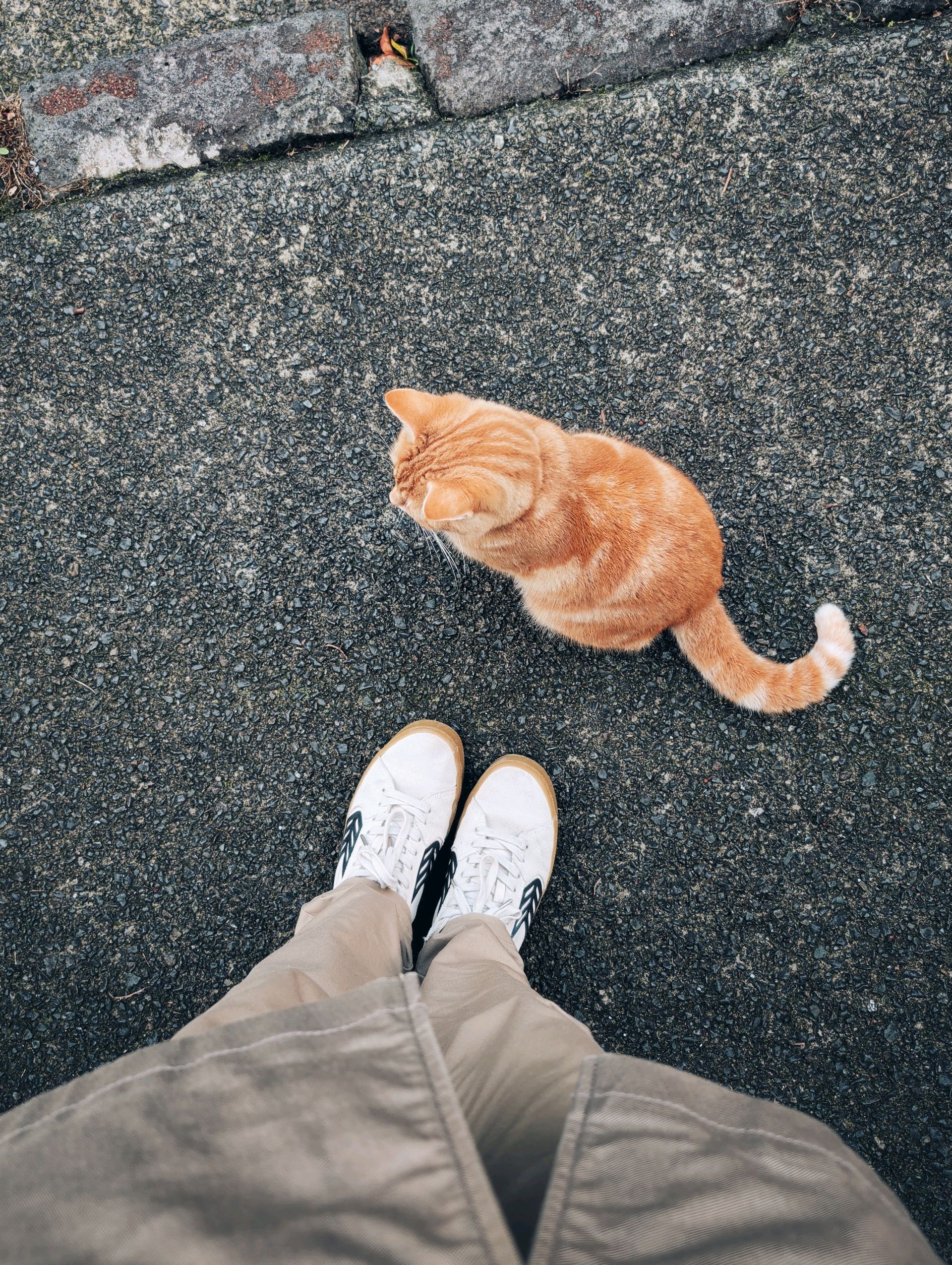 Post image: Hello, urban walkers