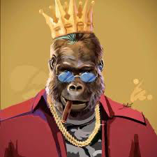 VîbêKíng's Lens avatar