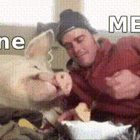 AngelfMunoz61's Lens avatar