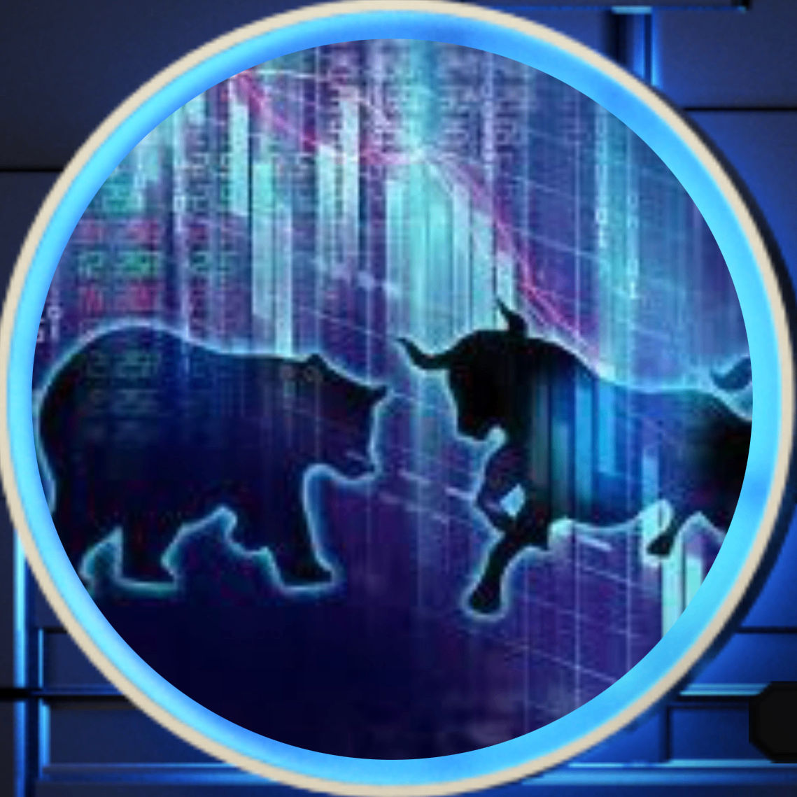 omid's Lens avatar