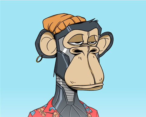 toto's Lens avatar