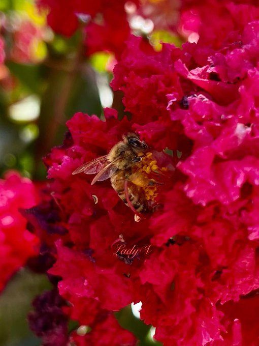 Post image: Good morning, my amazing friends!