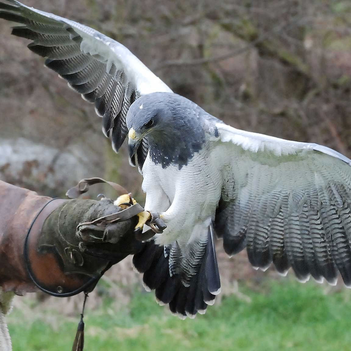 dimatimsin78 (dimatimsin78.lens) Lens social identity (.lens handle) PFP