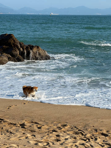 Post image: Open your heart to do what you love and face life bravely.