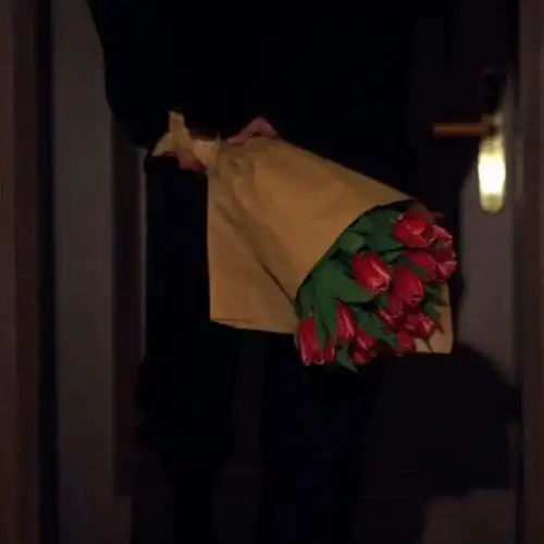 bilo (bilolens.lens) Lens social identity (.lens handle) PFP