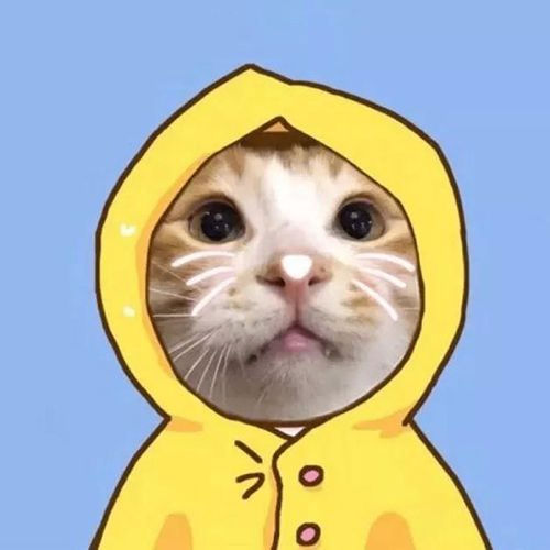 Dream YI (festive.lens) Lens social identity (.lens handle) PFP