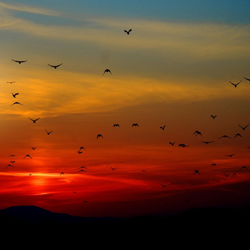 gkgkc.lens Lens social identity (.lens handle) PFP