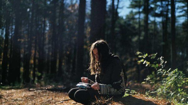 taylorrogers's Lens avatar