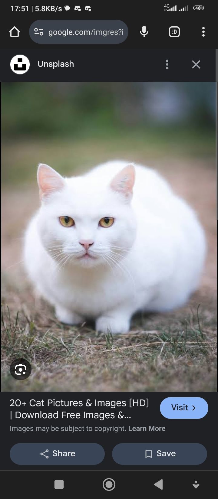 Alex Ndichu (flex12.lens) Lens social identity (.lens handle) PFP