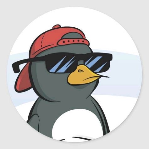 Birds's Lens avatar