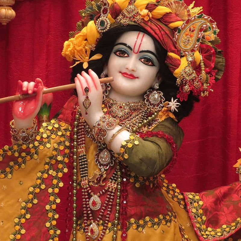 Hare Krishna's Lens avatar
