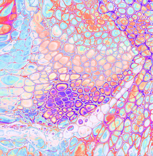 Acrylic pour of coral and lilac cells outlined in white over pale blue, crowded like foam on water