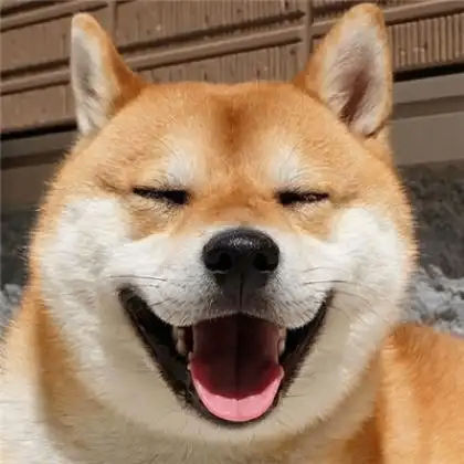 任意人生 (luzu1990.lens) Lens social identity (.lens handle) PFP