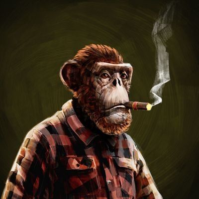 0xkaymal.eth's Lens avatar