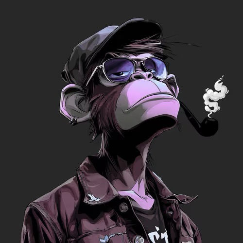 卡叔's Lens avatar
