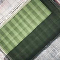 briansortir8.lens Lens social identity (.lens handle) PFP