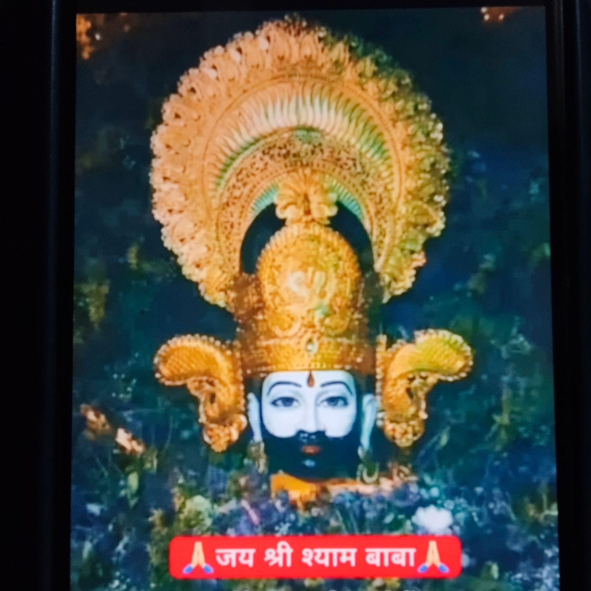 mohitmkp's Lens avatar