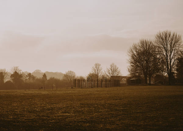 A sepia-toned field at sunrise, mist hanging over a distant hedge and a bare tree at the right edge