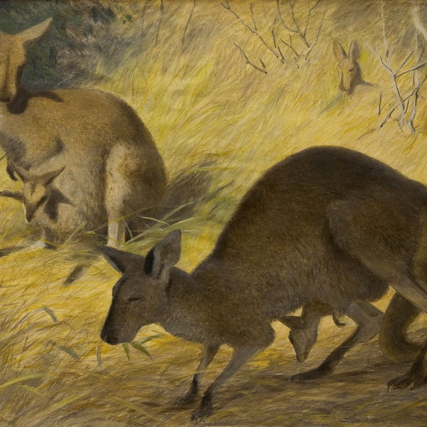 lenka666.base.eth Basenames (.base.eth domains) based on ENS PFP