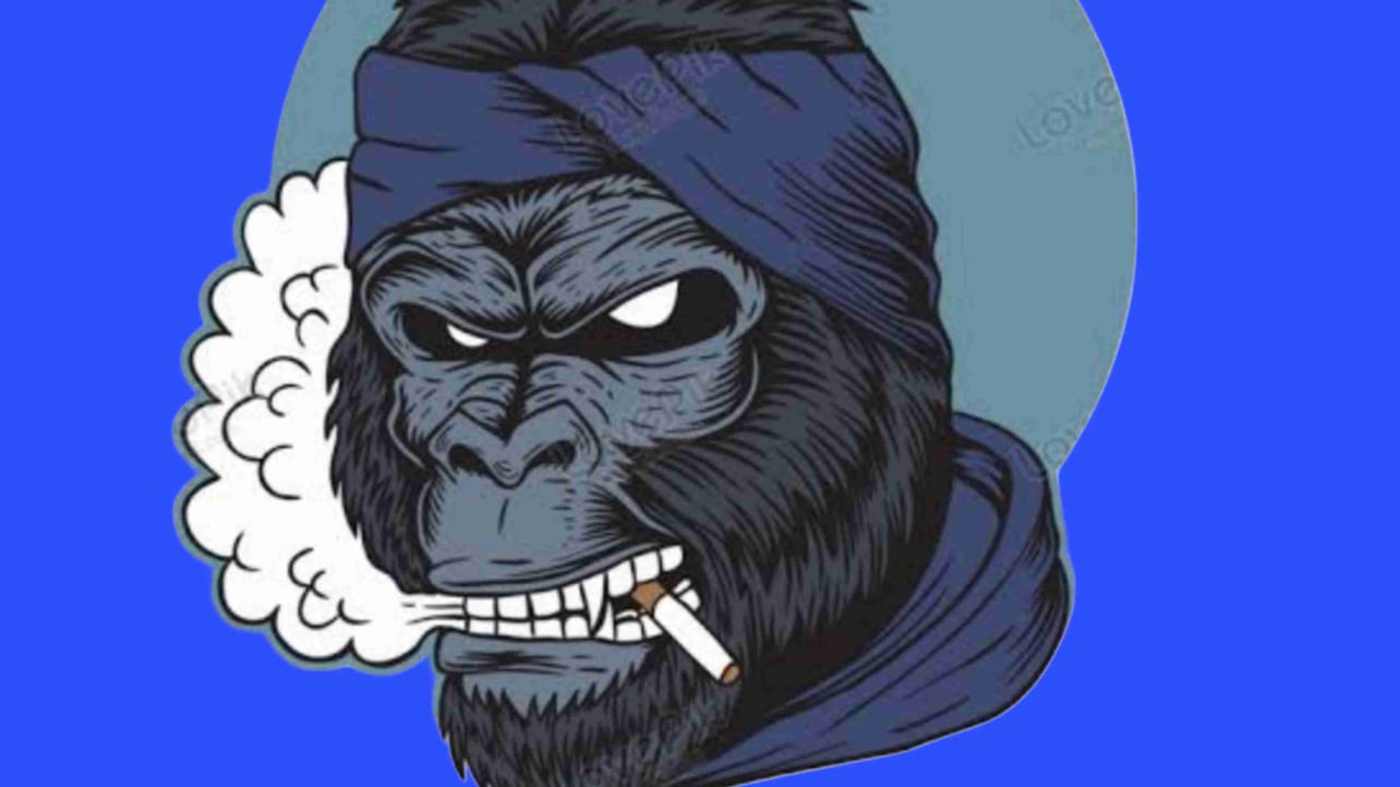 KINGKONG's Lens avatar