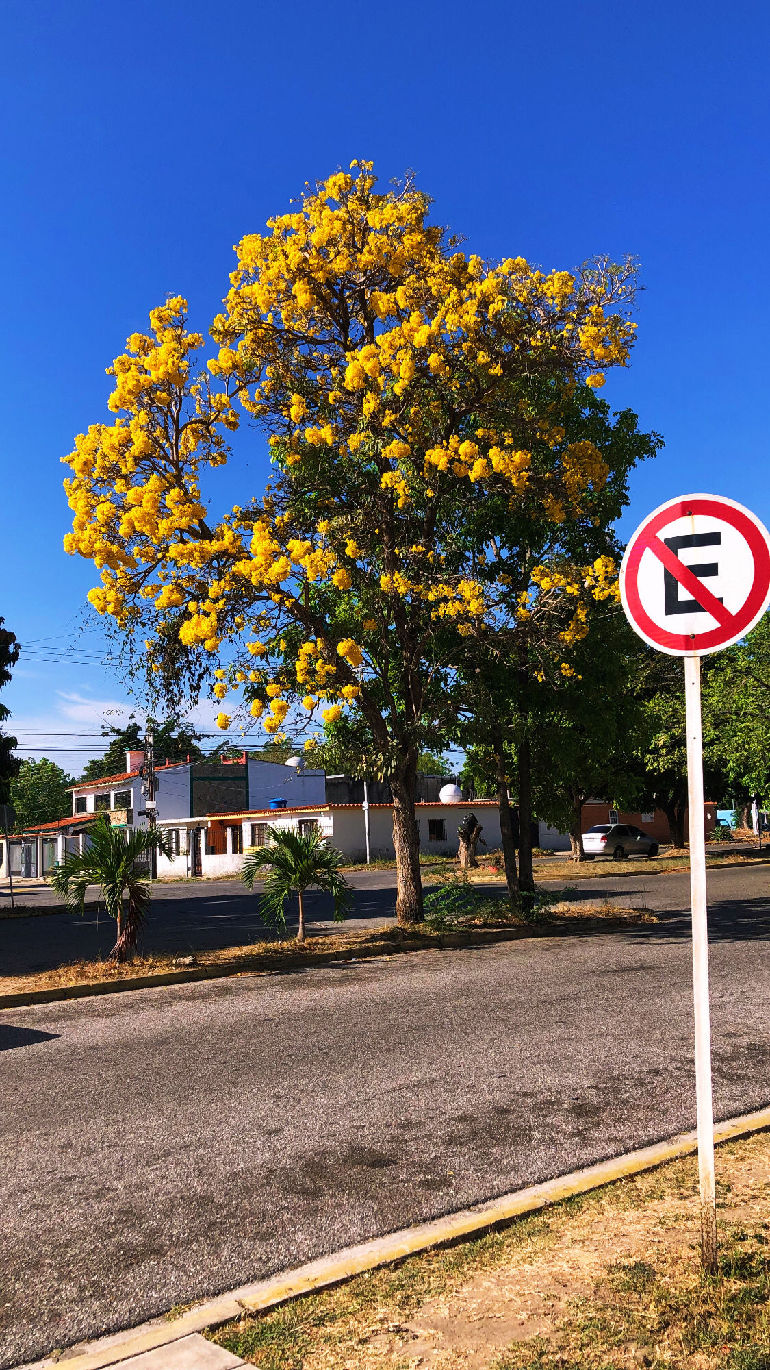 Post image: Me but objectivated and unconscious