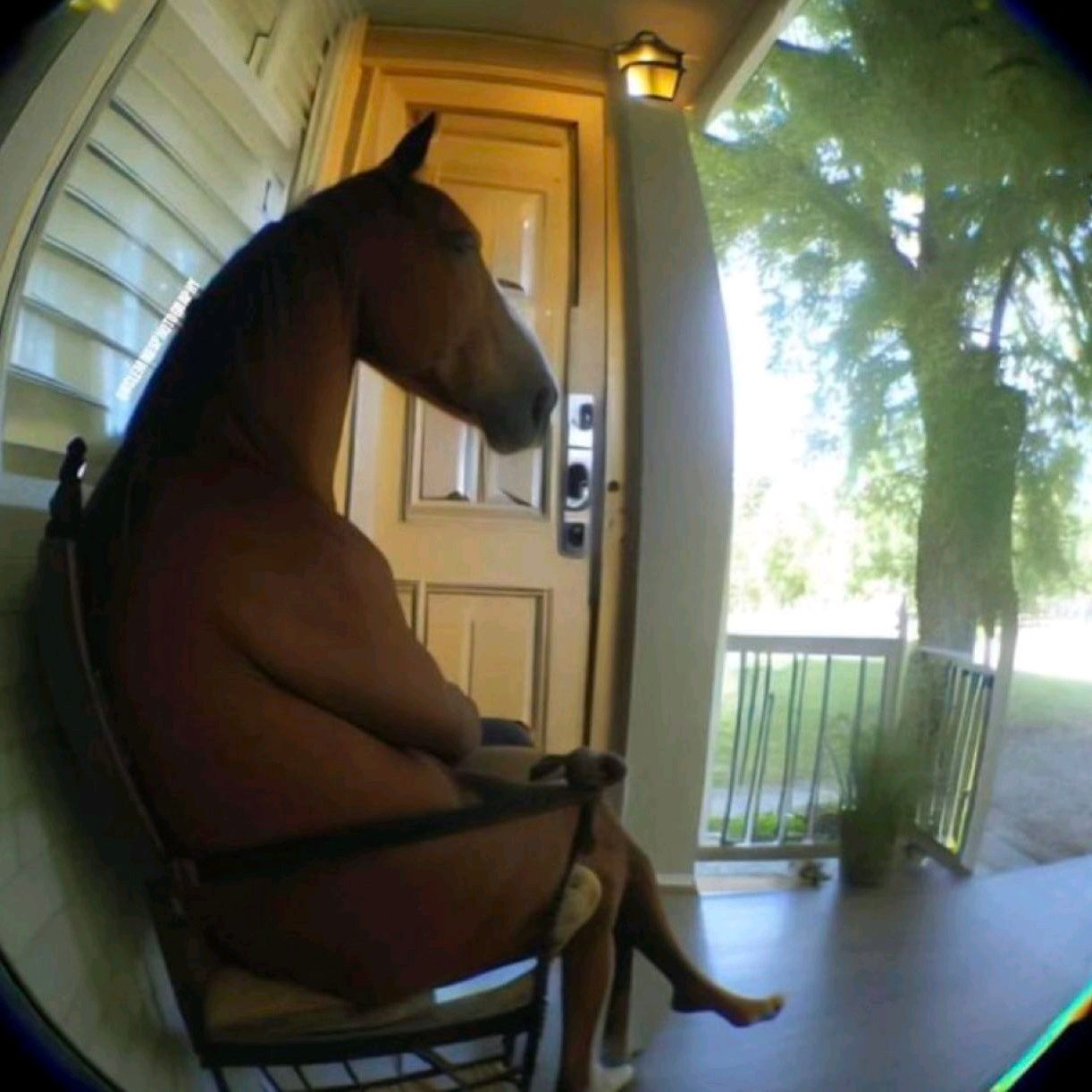 Sagework's Lens avatar