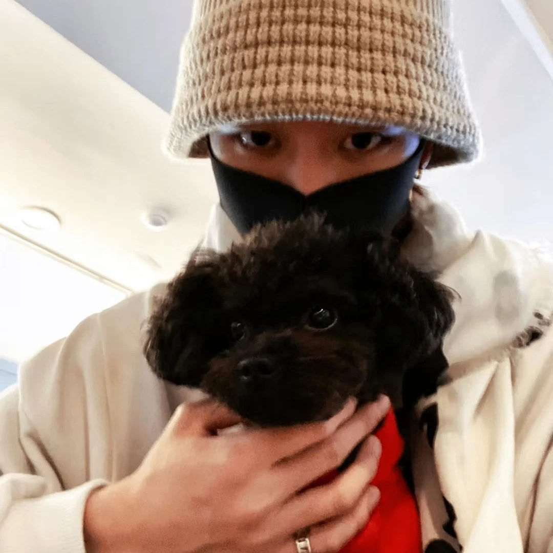 faiey (faiey.lens) Lens social identity (.lens handle) PFP