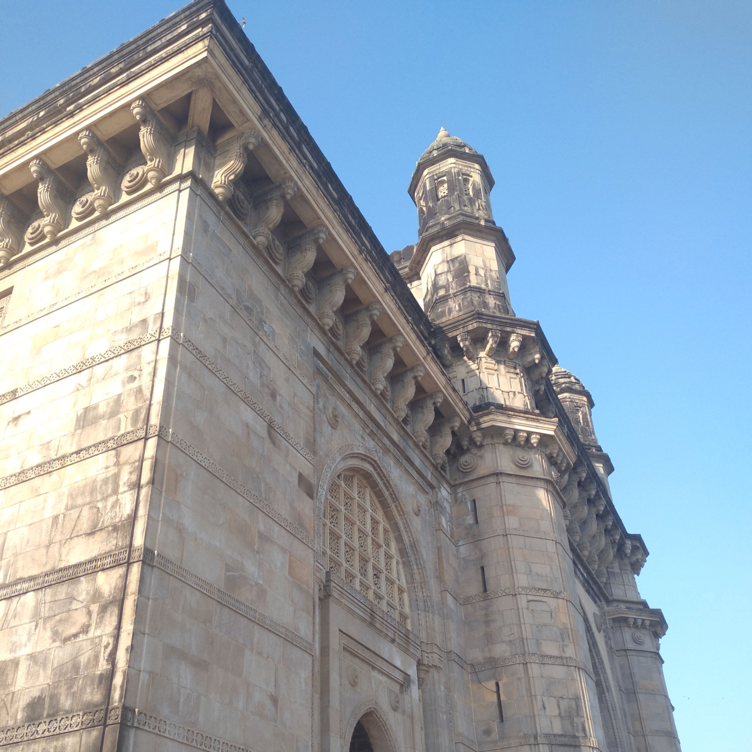 sofiya sajed (cryptosavvye.lens) Lens social identity (.lens handle) PFP