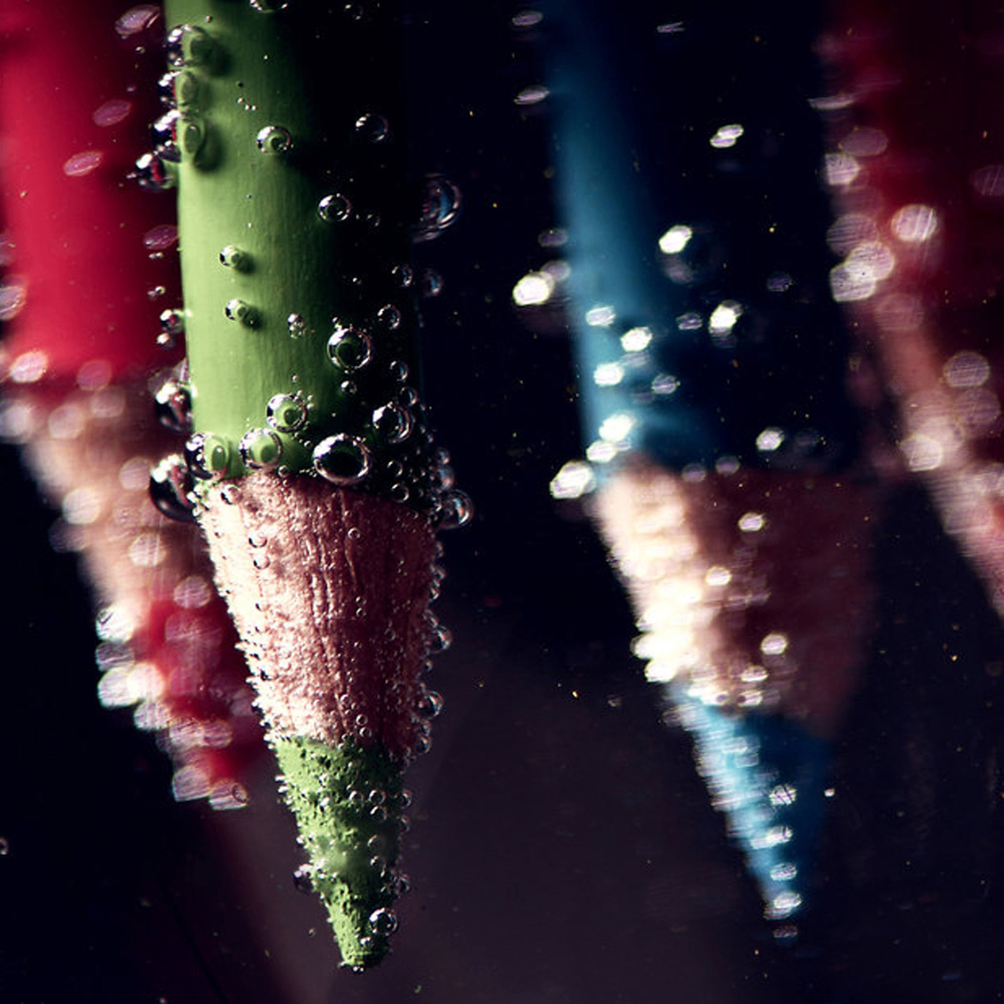 hfcbf (hfcbf.lens) Lens social identity (.lens handle) PFP