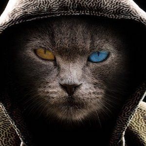 Andrii (andriitws.lens) Lens social identity (.lens handle) PFP