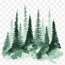 rajyadu (rajyadu.lens) Lens social identity (.lens handle) PFP