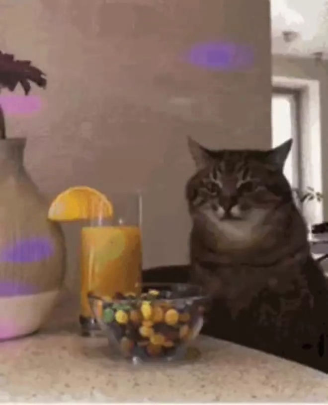 umbongo (umbungo.lens) Lens social identity (.lens handle) PFP