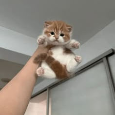 Dương Văn Tâm (jjvvu8.lens) Lens social identity (.lens handle) PFP