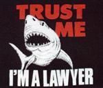 lawyer's Lens avatar