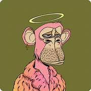 Kushal Gupta (kushalgupta.lens) Lens social identity (.lens handle) PFP