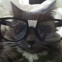 🌿HOSSEIN 🌿 (01973.lens) Lens social identity (.lens handle) PFP