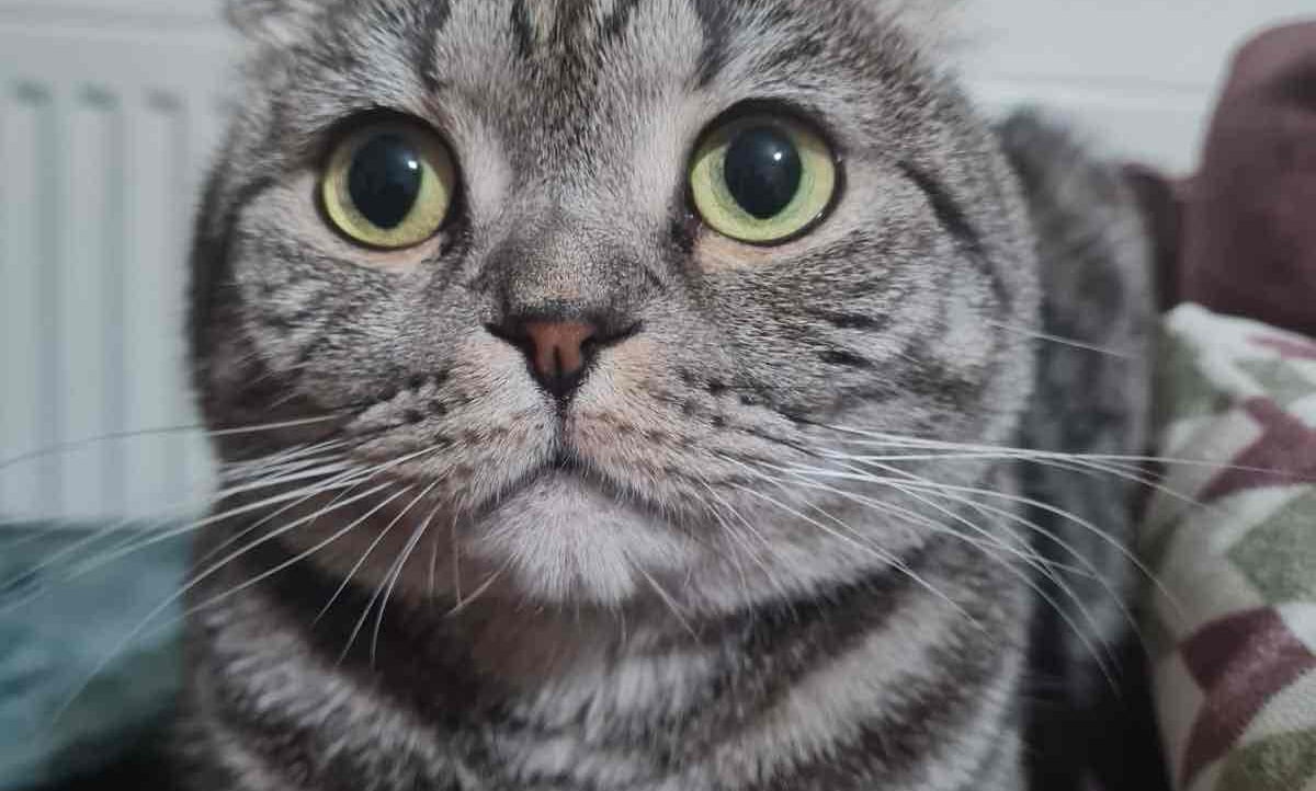 Onur AKAR's Lens avatar