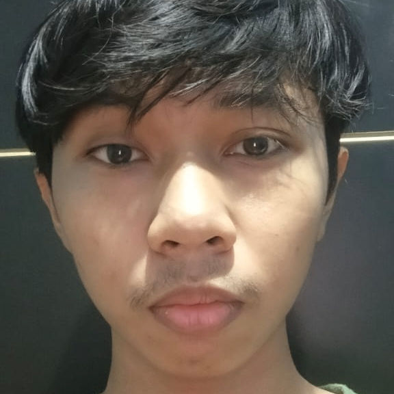fauzidashine's Lens avatar