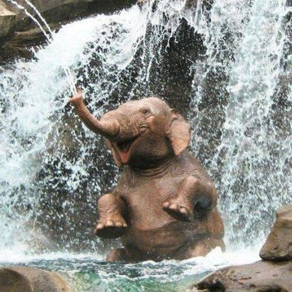 Oleg (viares.lens) Lens social identity (.lens handle) PFP