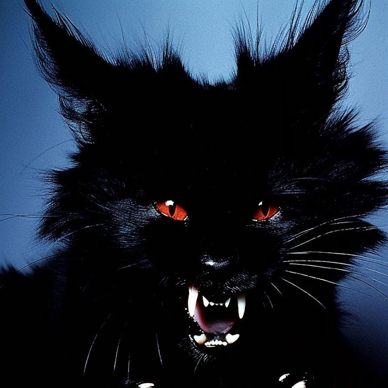 TremoR (trem0r.lens) Lens social identity (.lens handle) PFP