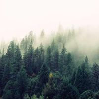 tagalmere167.lens Lens social identity (.lens handle) PFP