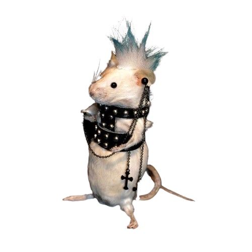 rata's Lens avatar