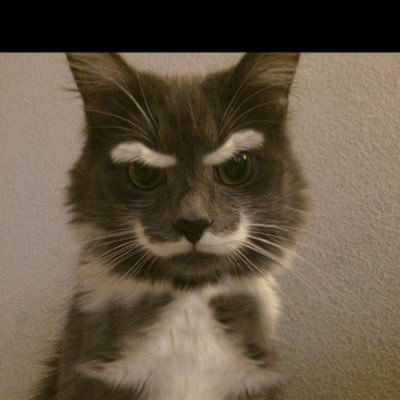 directorskinn's Lens avatar