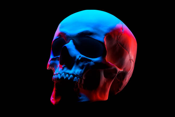 Rainer (rainerhrede.lens) Lens social identity (.lens handle) PFP