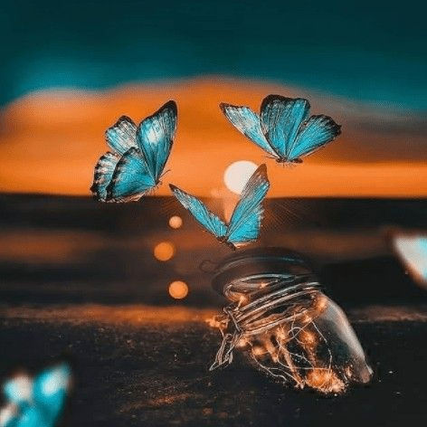 Fresh (fresh90.lens) Lens social identity (.lens handle) PFP