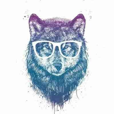 Meysam.base.eth's Lens avatar