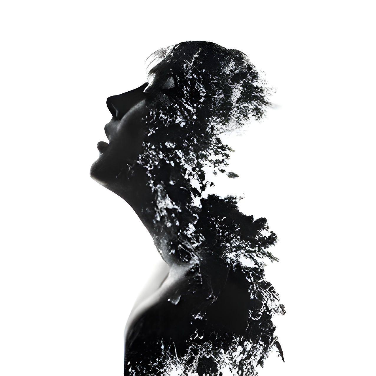 Takizava (takizava.lens) Lens social identity (.lens handle) PFP