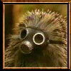 phongbuoi95_pho's Lens avatar