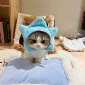 khute (jbgvfd.lens) Lens social identity (.lens handle) PFP